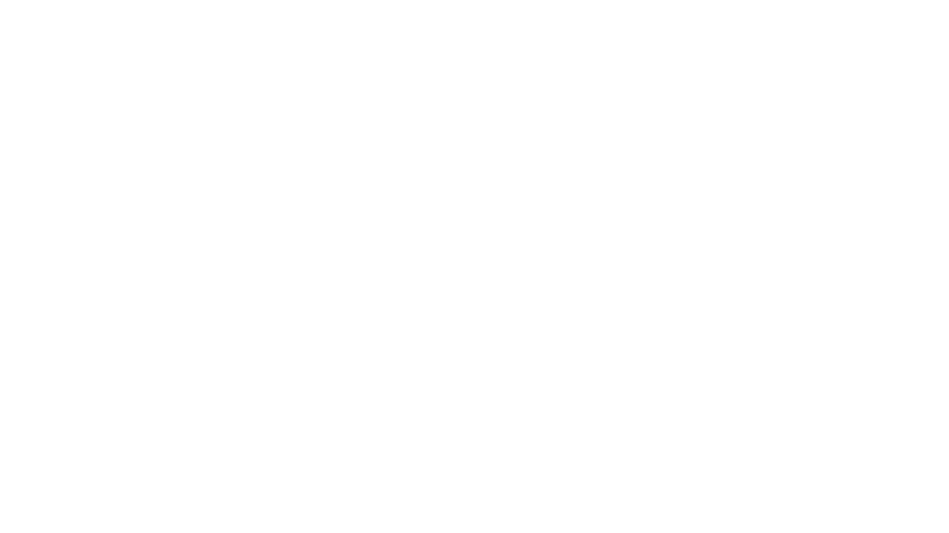 Werner Werner Logo